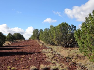 8575 Powells Ln, Show Low, AZ 85901 - photo 2
