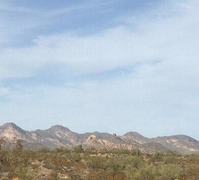 Goldfield