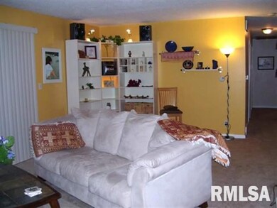 2911 Linden Ln, Bettendorf, IA 52722 - photo 3