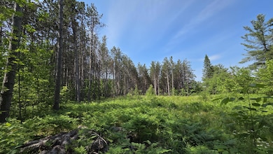 Open Field 2