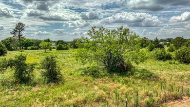 TBD E Bradshaw Rd, Springtown, TX 76082 - photo 7