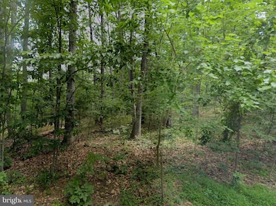 00 Level Hill Rd, Luray, VA 22835 - photo 4