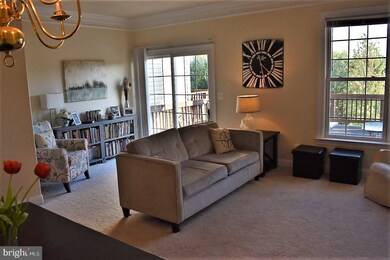 202 Cross Keys Place, Stephens City, VA 22655 - photo 4