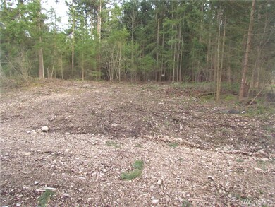 20707 111th Ave E, Graham, WA 98338 - photo 7