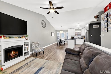 2503 Waterfront Ct, Imperial, MO 63052 - photo 5