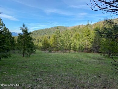 Mtn and Meadow Views