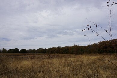 01 Cr 1316, Malakoff, TX 75148 - photo 6