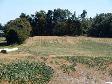 17970 Scott Rd, Monroe Township, OH 43050 - photo 6