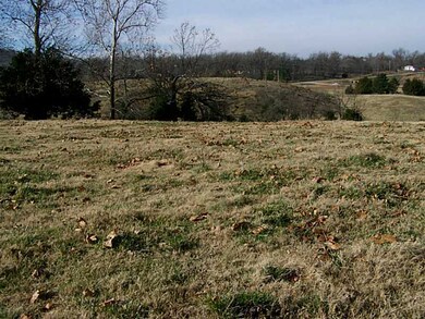 11524 Cluck Rd, Summers, AR 72769 - photo 7