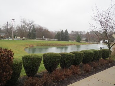 Pond views