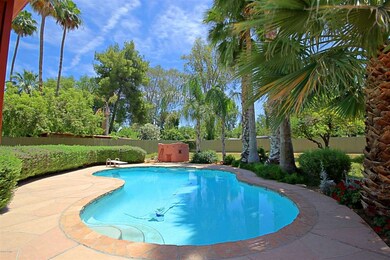 Backyard 7