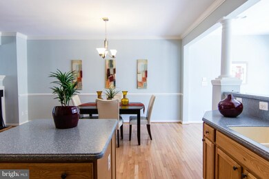 25384 Lisa Terrace, Aldie, VA 20105 - photo 6