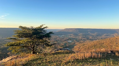 Photo Nov 16 2024, 4 13 34 PM