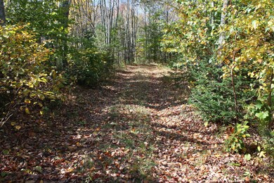 Davis Road, Union