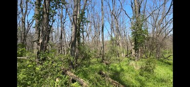IMG_4467