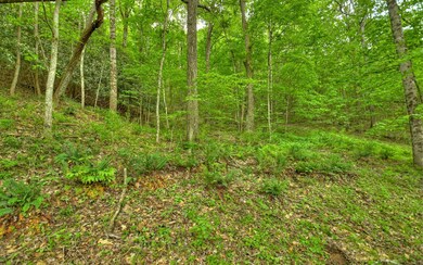 Additional View
