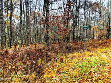 577 Grasshopper Way, Lackawaxen Township, PA 18428 - photo 3