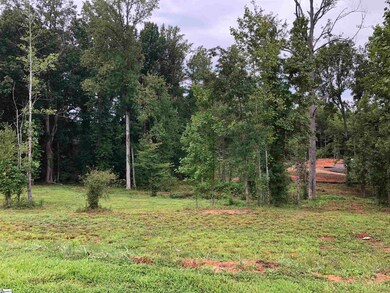 0 Tall Poplar Trail unit 1453649, Greenville, SC 29617 - photo 6