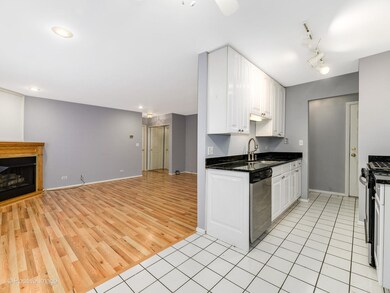 Sheridan Balmoral Apartments unit 208, Chicago, IL 60640 - photo 6