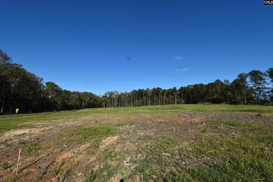 Lot 4 Gold Nugget Point, Prosperity, SC 29127 - photo 7