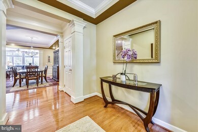 43664 Palmetto Dunes Terrace, Leesburg, VA 20176 - photo 5