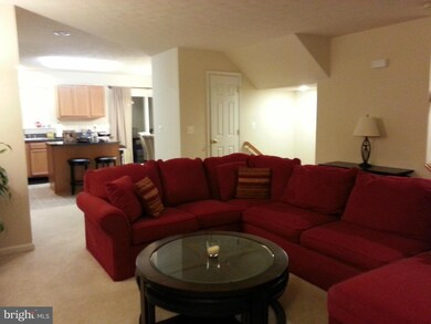 35486 Coyote Trail, Locust Grove, VA 22508 - photo 3