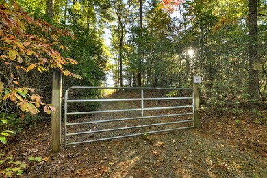 12.64 AC Harrison Sluder Rd, Ellijay, GA 30540 - photo 2