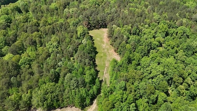 Silerton Rd, Toone, TN 38381 - photo 6