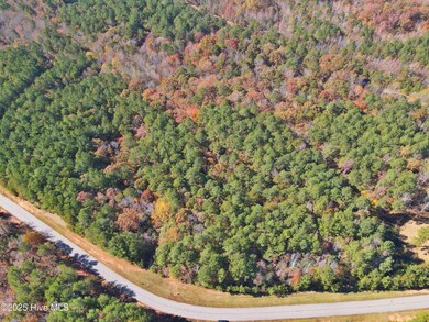 dji_fly_20251112_123936_112_176297230689