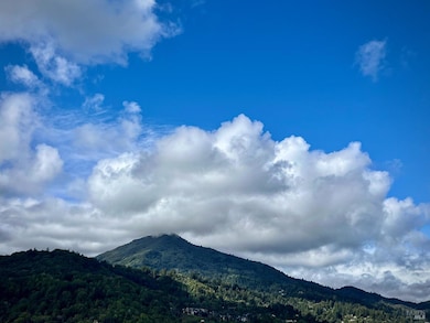 The owner's images of Mt. Tamalpais highlighting t