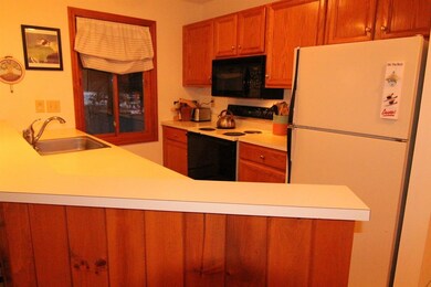 148 Deer Park Dr unit 98, Woodstock, NH 03262 - photo 2