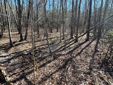 9 Tennessee 399, Dunlap, TN 37327 - photo 3