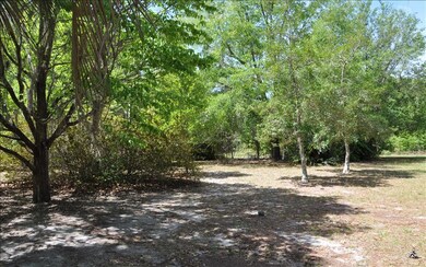 549 NW Amanda St, Lake City, FL 32055 - photo 3