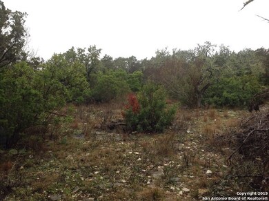 222 County Road 244, Hondo, TX 78861 - photo 7