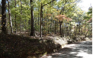 Additional View