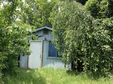 Shed