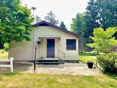 356 Homer St, Hubbardston, MI 48845 - photo 2