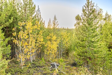 Lot 1 TBD Harris Rd, Anaconda, MT 59711 - photo 7