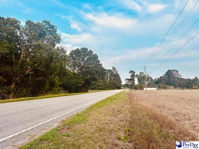 0 S Carolina 9, Nichols, SC 29581 - photo 4