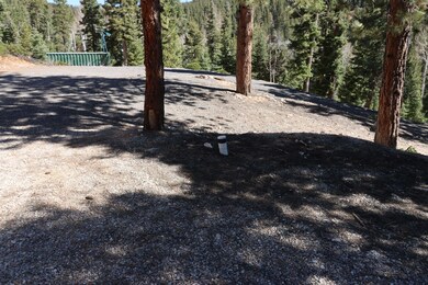 160 Buckhorn Trail, Duck Creek, UT 84762 - photo 5