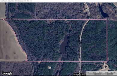 85  ac County Road 291, Water Valley, MS 38915 - photo 3