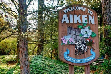 Welcome to Aiken pic