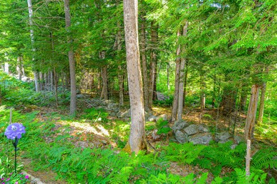 12 Reindeer Trail-67