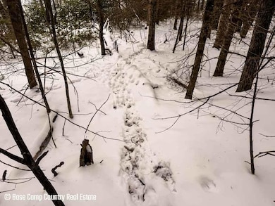 0 Forest Hill Dr unit 25754675, Townsend, WI 54175 - photo 3