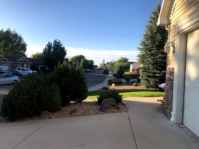 Looking North