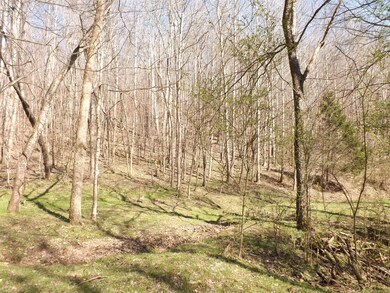 1286 Hagan Rd, Prospect, TN 38477 - photo 7