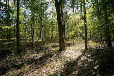 Lot 45 18th, Arkdale, WI 54613 - photo 7