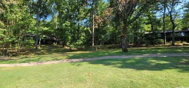 Lot 11 Birchbrook - Eden Isle, Heber Springs, AR 72543 - photo 6