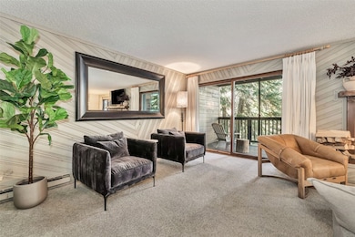 2617 Burgess Creek Rd unit A102, Steamboat Springs, CO 80487 - photo 3