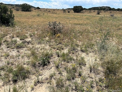 Lot 17 Longhorn Ranch unit 17, Model, CO 81059 - photo 5